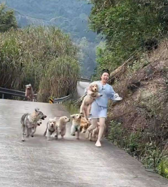 网友：媳妇每次回老家都很疯狂