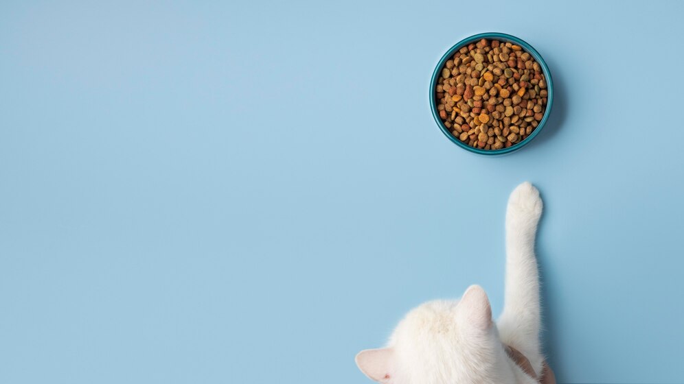 作为一位长期照顾猫咪的主人，我深知选择合适的猫粮对猫咪健康成长至关重要。然而，市