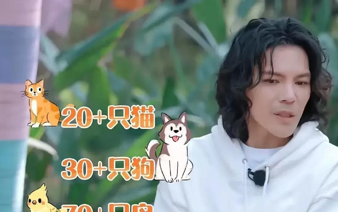 郭碧婷豪门阔太养百只动物

                          