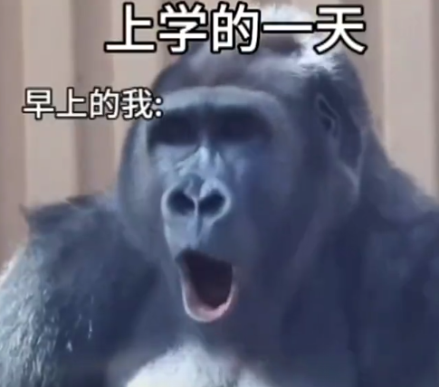上学的一天