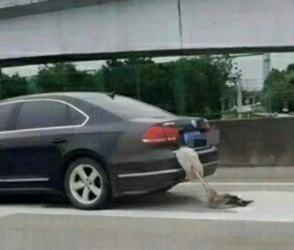 高速上无意中看到了一辆很奇怪的车，后面拖着一个长长的尾巴，我愣是跟了一路也不知道