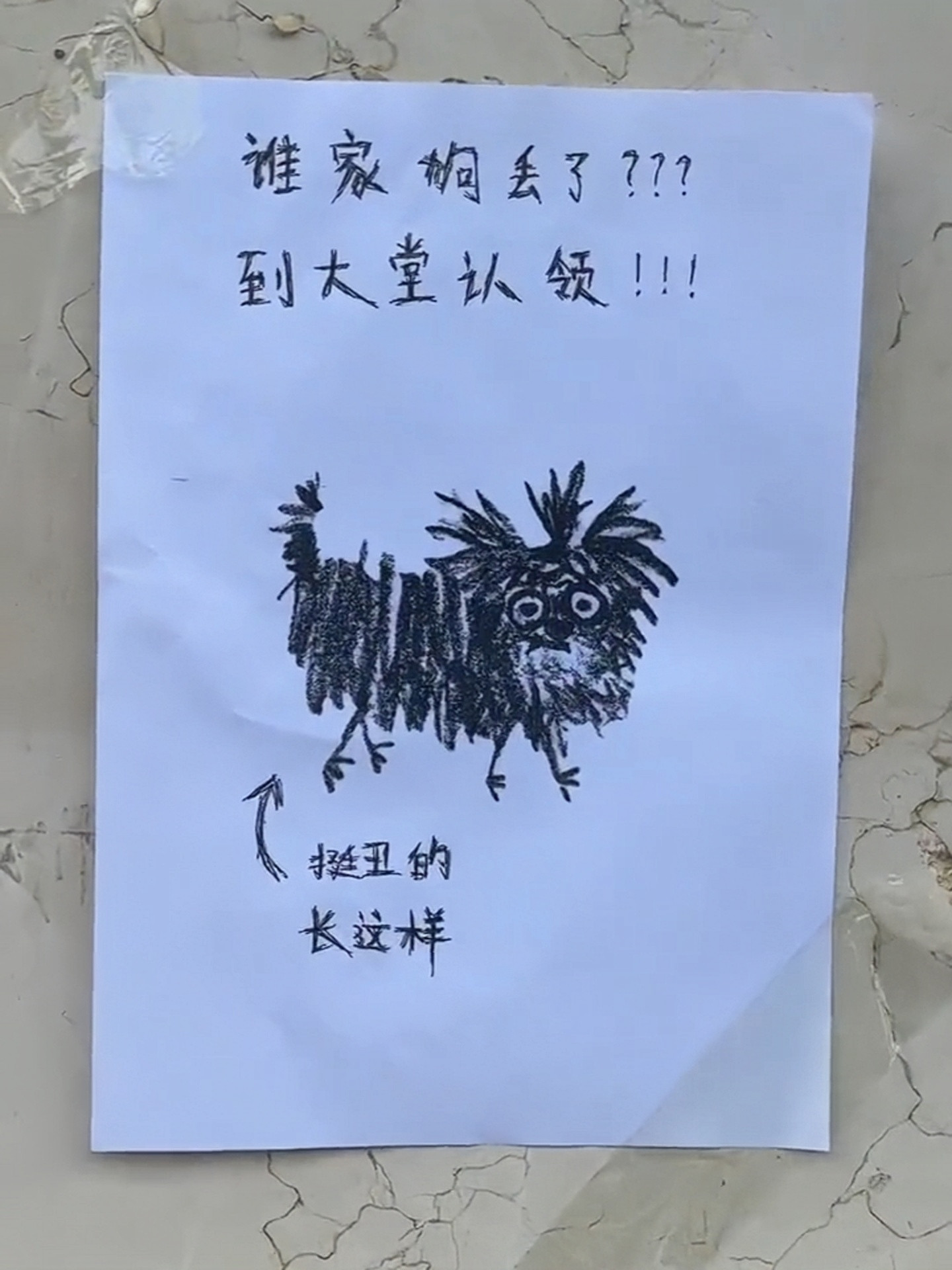 这是一个灵魂画手吧