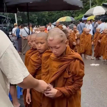    这些小和尚头上长的是什么东西呢？看上去好吓人啊！  