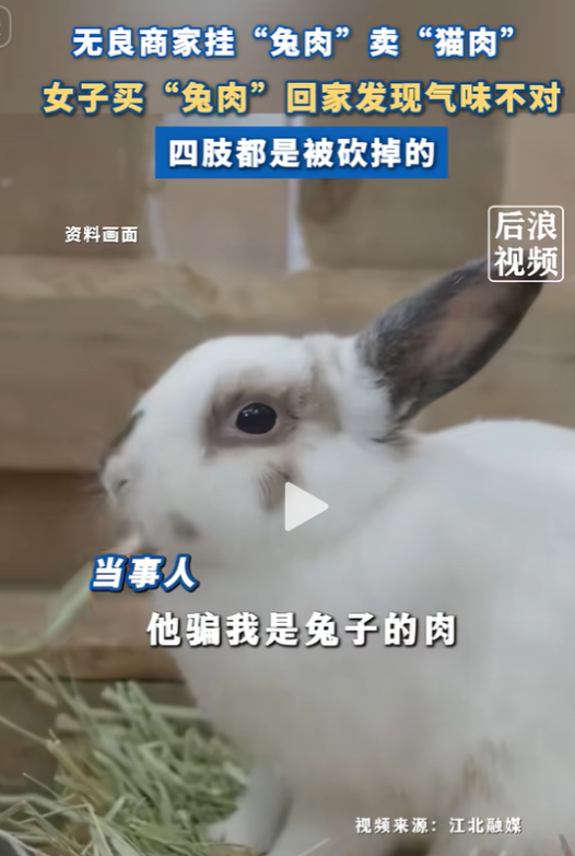 11月26日一女子买兔肉，做好后吃着味道不对，家里的猫更是吓得四处逃窜、浑身发抖
