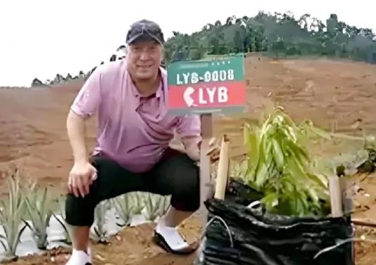 我怀疑，现在搞刘国梁的这伙人，就是当初搞羽毛球李永波、跳水周继红的那波人，反正我