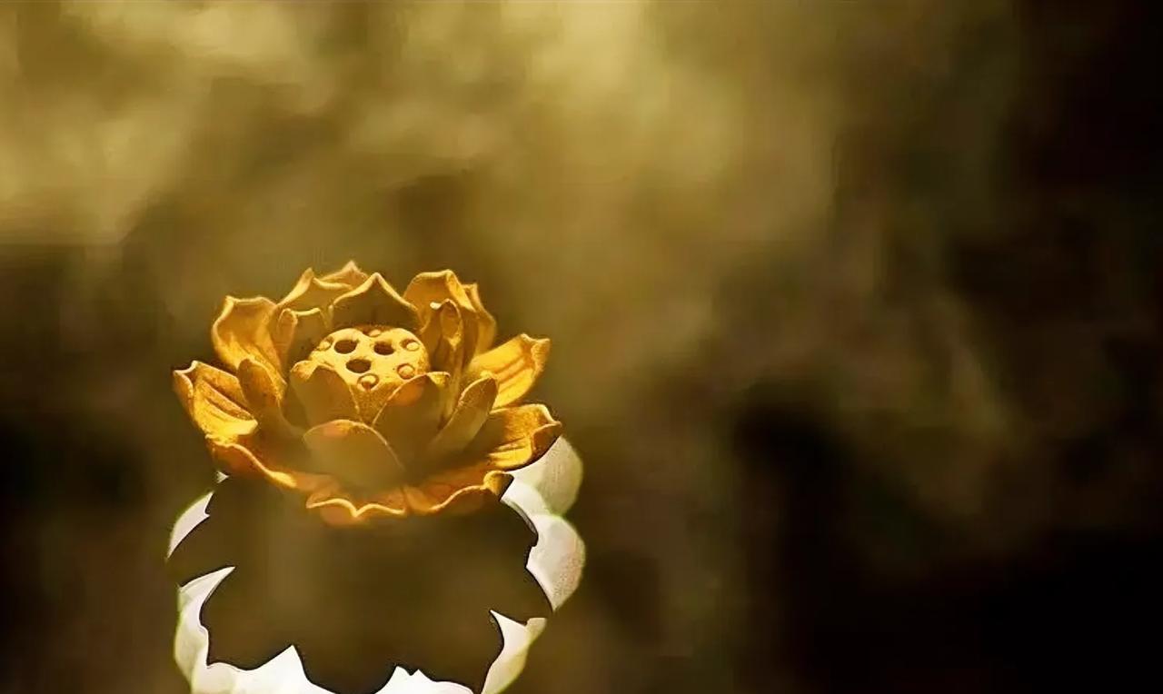 佛与道最本质的区别是什么
佛与道：探寻本质区别
在华夏大地，佛与道如两条源远流长
