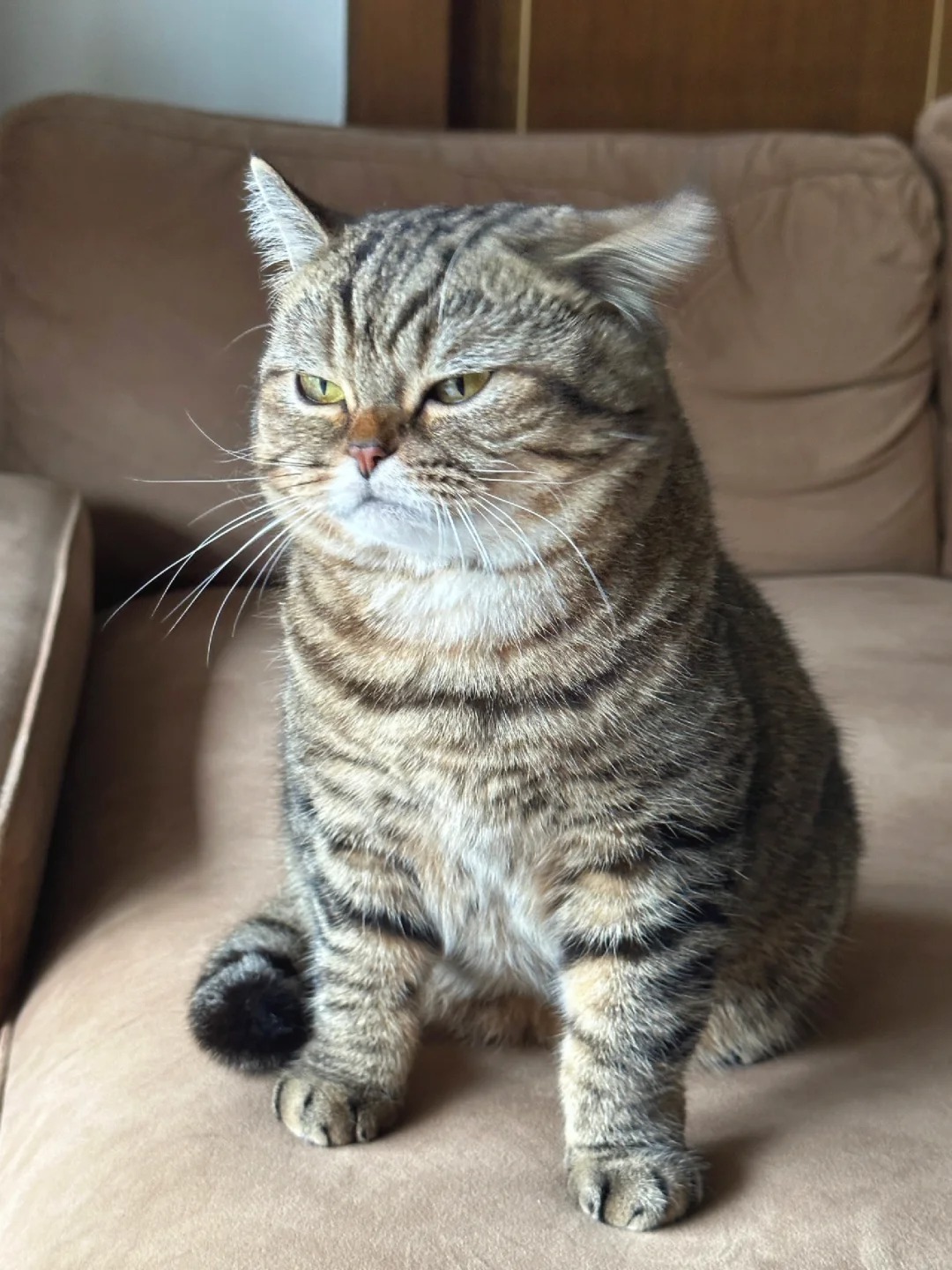 她已经三分钟没有理我了😭