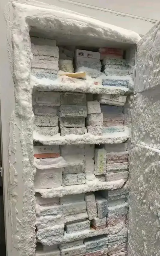 黑龙江的冰箱忘了通电就这样了
