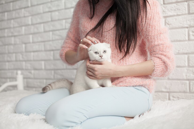 养猫是一件既有趣又充满挑战的事情，尤其是面对一只活泼好动的幼猫。它们天真可爱，但