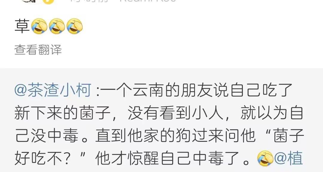 一个云南的朋友