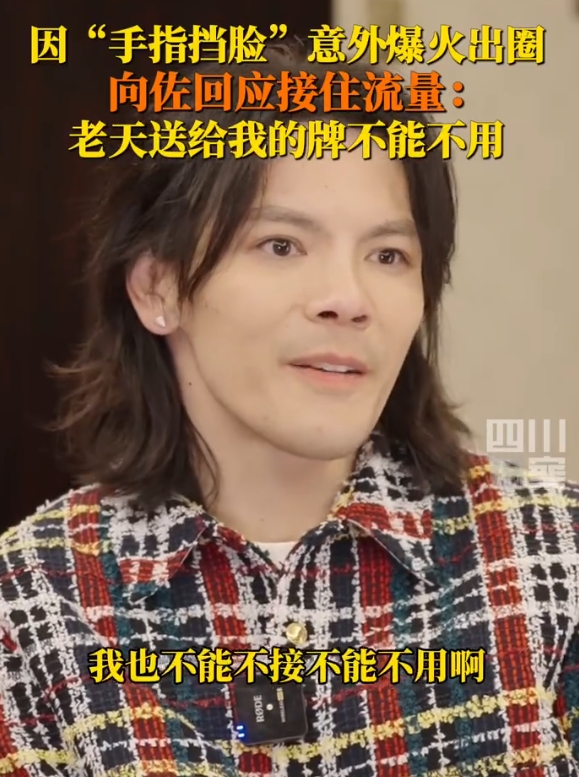 向佐回应接住泼天流量