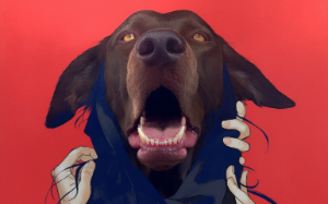 哥哥消失的这天，家里的狗开口说话了。它说：“不要听妈妈的话。如果妈妈变得可怕，请闭上眼睛。”