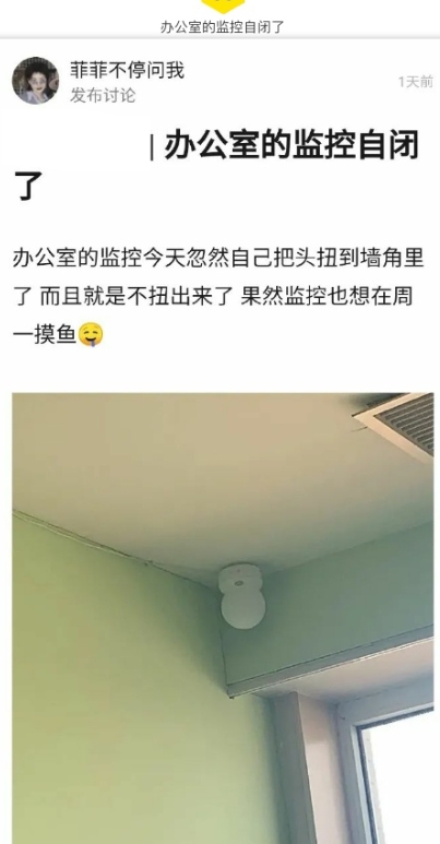 办公室的监控自闭了