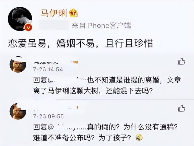 婚姻背后的隐痛：文章马伊琍离婚，仅仅是出轨那么简单吗？