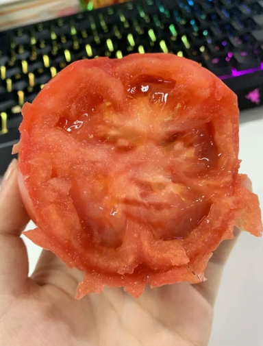 这西红柿怎么长这样？