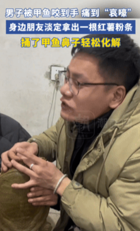 笑麻了！河南信阳，一男子被甲鱼咬到手，疼得撕心裂肺，可万万没想到，朋友淡定的拿出