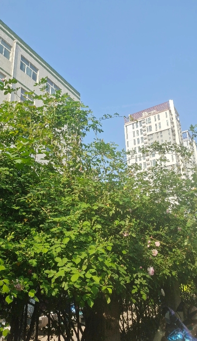 我一个堂姐，前几年出车祸不在了，留下80多万的赔偿给老公和孩子，结果不到半年他老
