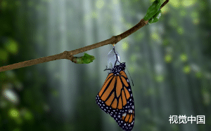 重生后爱上了死对头