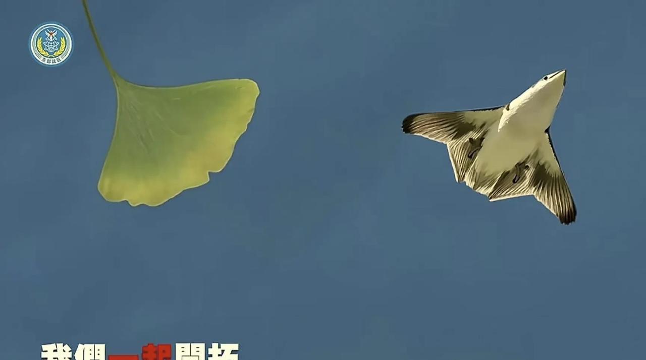 看看这次还有谁质疑，东部战区新年MV这张图已经非常明显了。
两架六代机试飞画面出