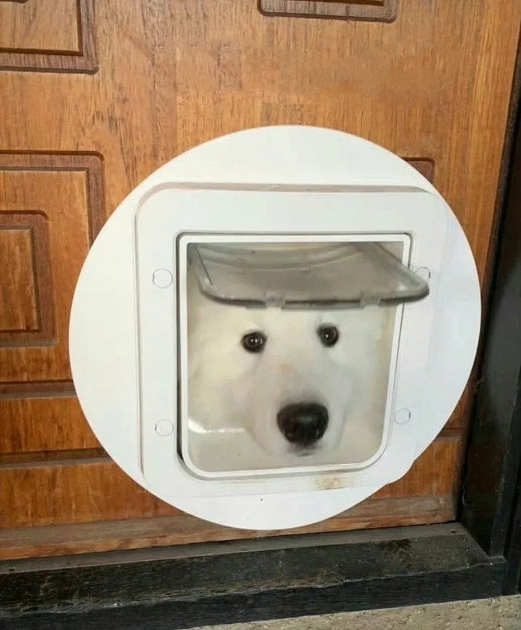 是插座耶！