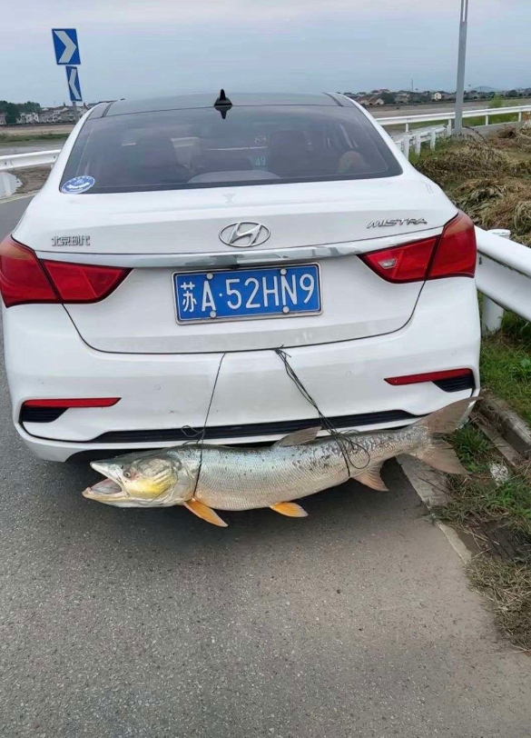 这么大的鱼为什么他不装起来？