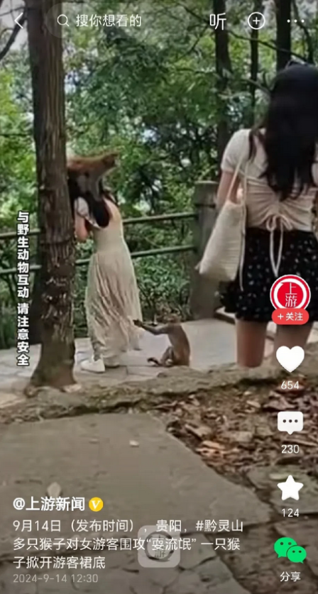 猴子成精了！黔灵山多只猴子对女游客耍流氓，一只猴子抱头，一只猴子摸屁股，还有一只
