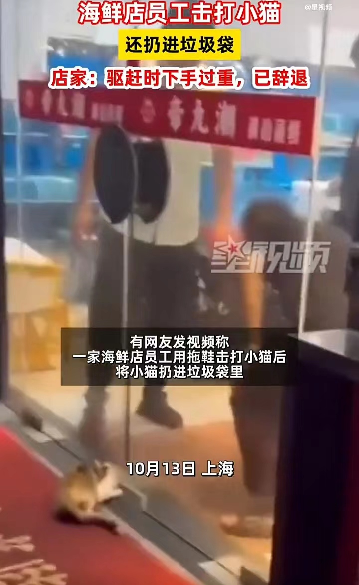 太可恶了！