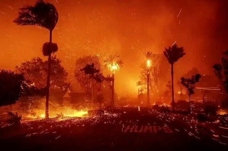 美国洛杉矶的大火这次烧的很仁慈，为什么这么说呢？因为被烧的房屋大多都是富人的，虽