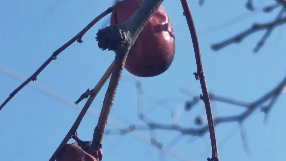 一个家庭，男人爱不爱自己的老婆，看这几个细节就知道了