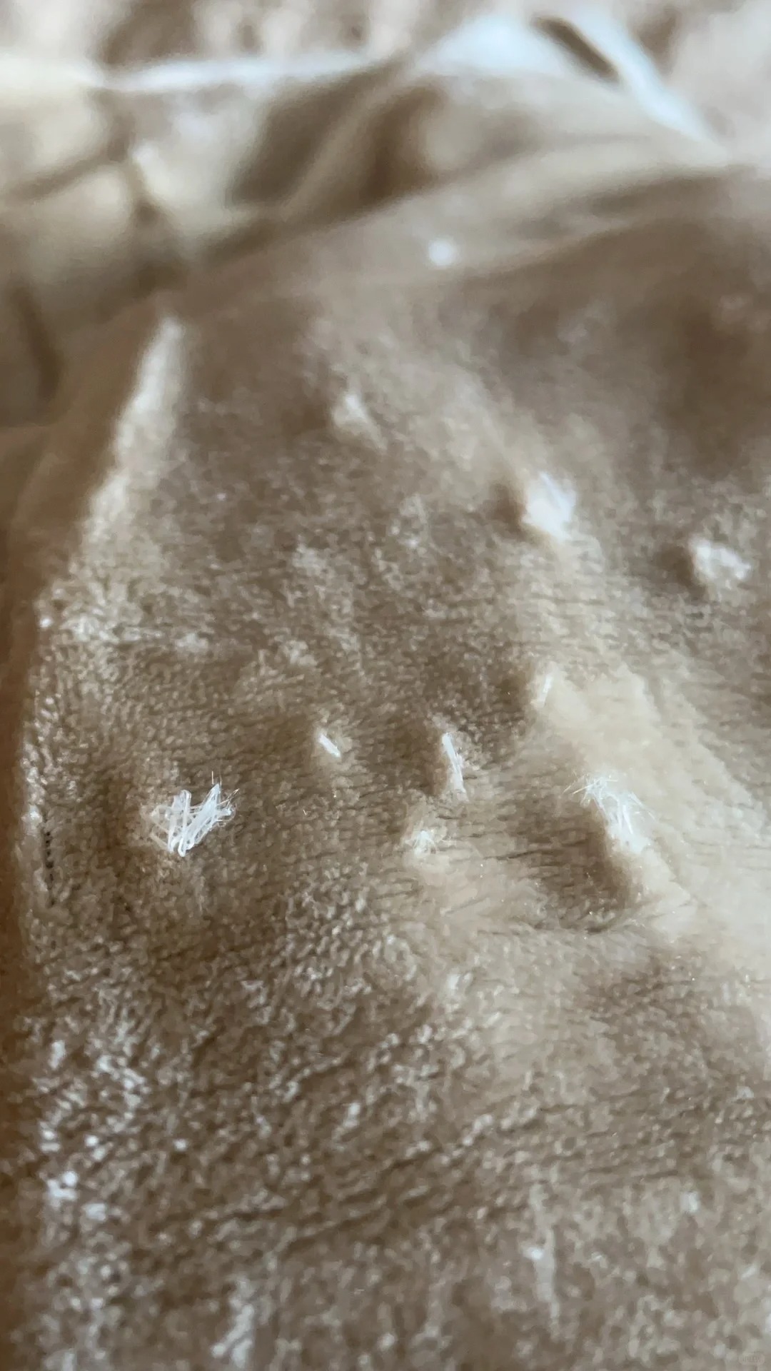 和我的猫感情破裂
前天新买的被子，非常喜欢的被子，又轻又暖和，却在今天被家里的小