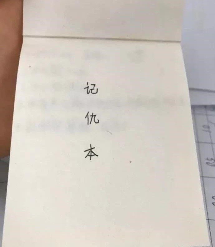 小学生的记仇本