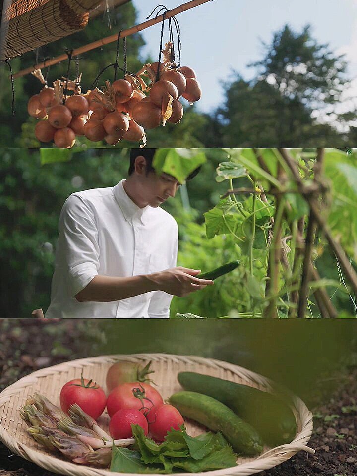 这片比小森林还要好看