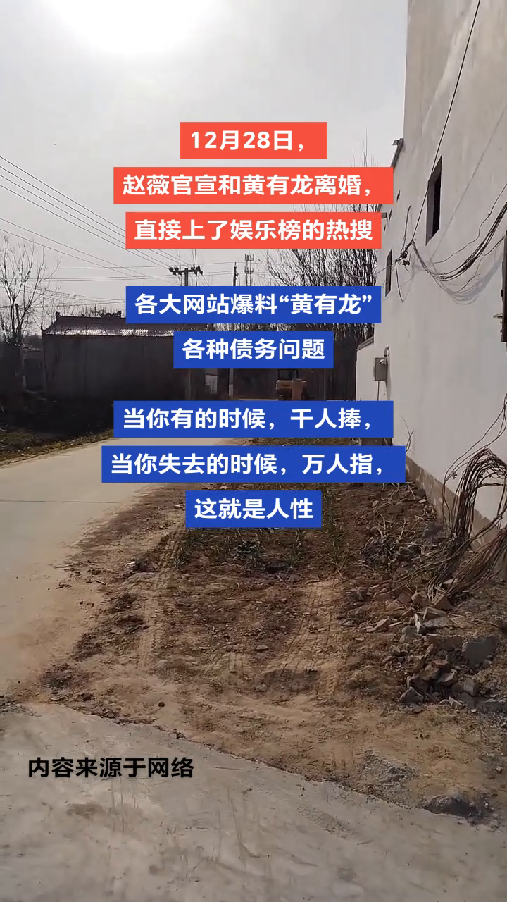 12月28日，赵薇官宣和黄有龙离婚，各大网站爆料