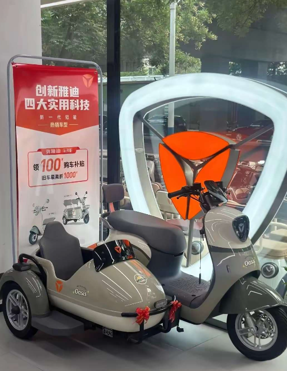 这种带边斗的电动三轮车有人骑过吗？ 说说优点和缺点