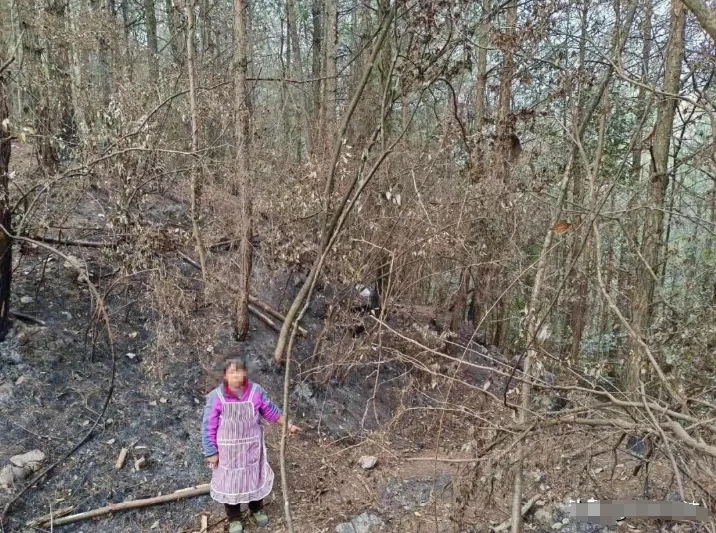 “简直是在胡闹！”贵州贵定，一农村妇女来到山上竟放火烧山，当事后警方对其盘问时，