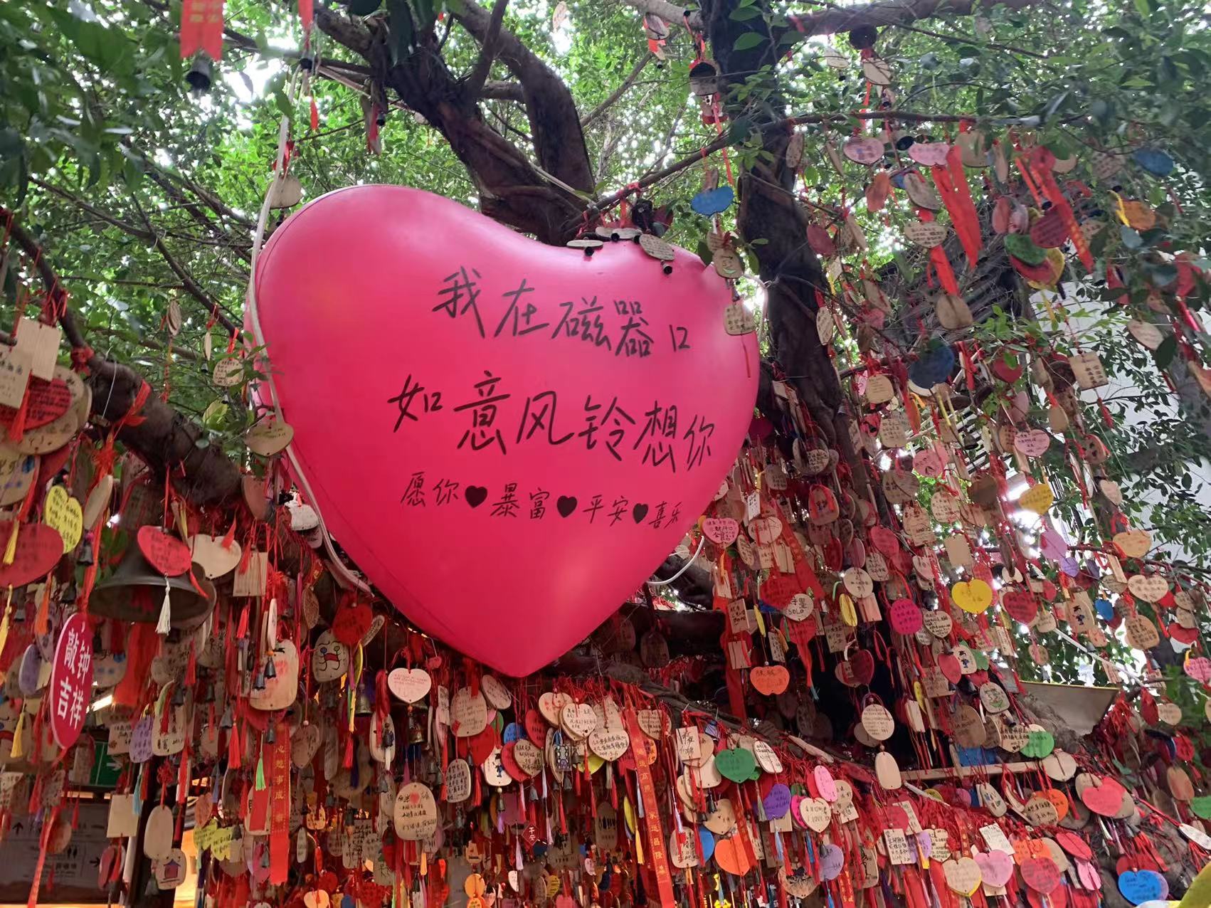 婚姻真相：别只图他对你好，这是一场豪赌