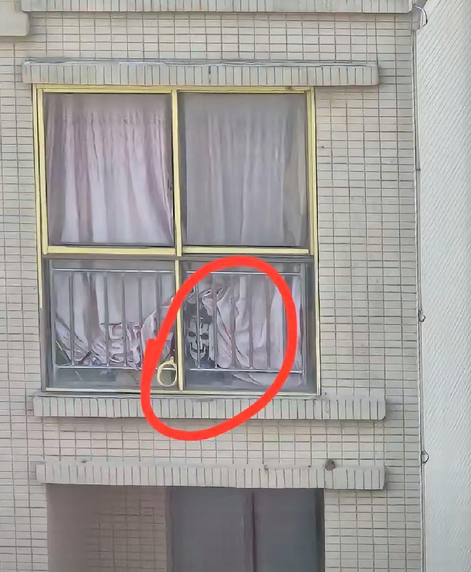 吓我一跳，对面楼越看越不对劲，你们看他家到底是干嘛的，如果是半夜看到这一幕，你们