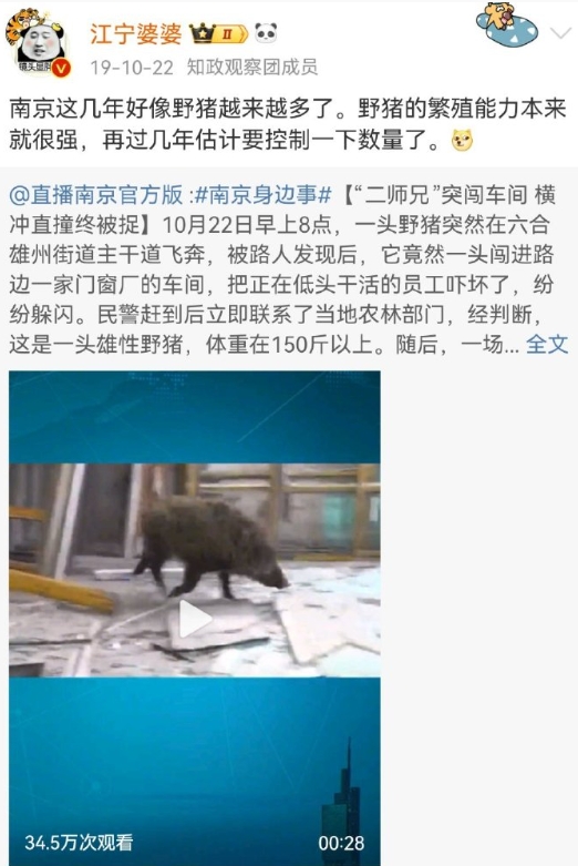 关于野猪的问题，我不是在马后炮。

我在5年前第一次模模糊糊意识到野猪问题的时候