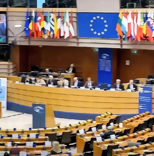 刚刚传来一则震撼消息！
法国最近向某个东方大国发出了正式声明，支持欧盟对该大国的