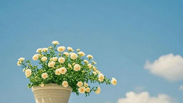 人生孤独的三大成因：从经历看内心的漂泊