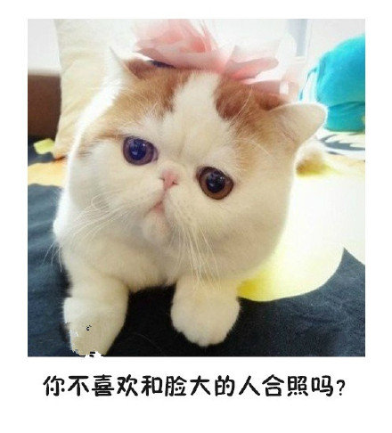 如果有人说你脸大，就这么回他