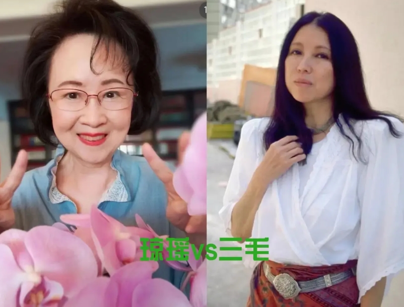 左边琼瑶，右边三毛
左边写书，右边也写书
左边自杀， 右边也自杀
左边姓陈，右边
