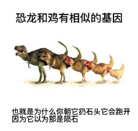 有点道理
