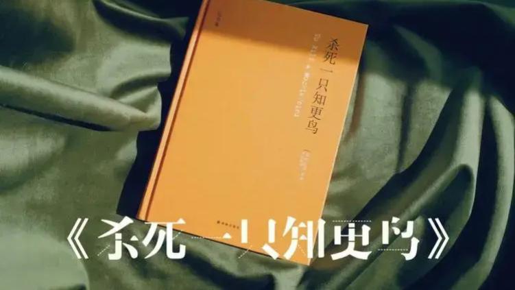 《杀死一只知更鸟》：一个人废掉最快的方式，不读书内心充满偏见