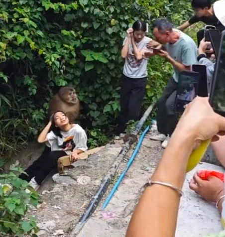 你不要动它，它比人类值钱！动它：会踩缝纫机的！ ​​​