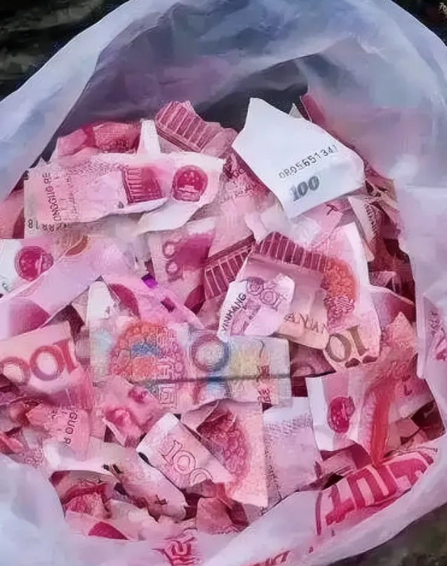 这样的事，如果不追究到底，难以平息民愤。

最近看到一则新闻，投资千万建成的公园