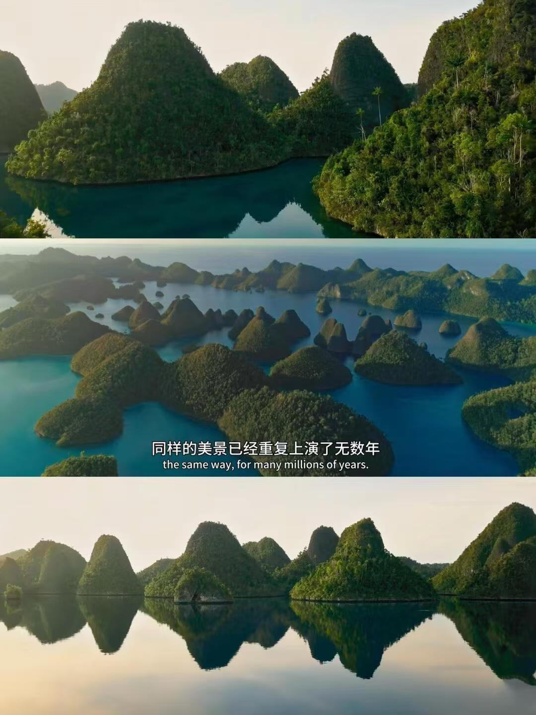 豆瓣9.4🔥我要吹爆这部纪录片‼️超绝