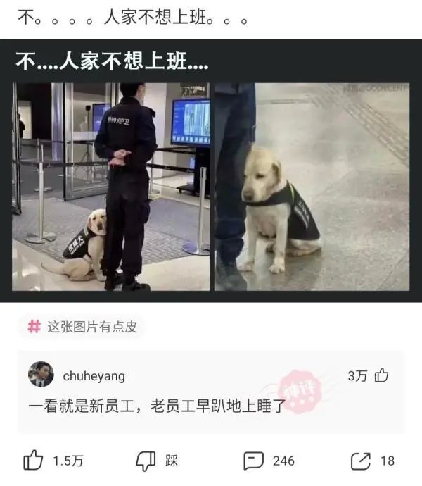 不，人家不想上班