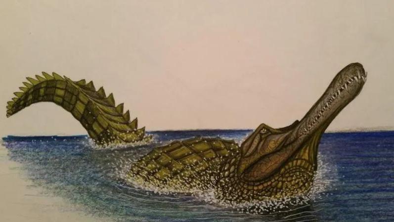 它是史上最大的鳄鱼之一，拥有类似鸭子的嘴巴却最爱吃鱼！