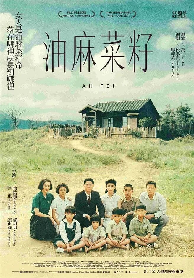 千万不要走油麻菜籽里的女性那条路